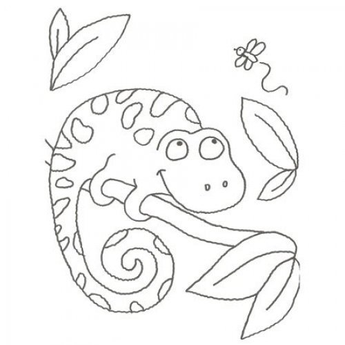 Desenho para colorir de um camaleão