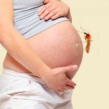 O perigo da malária para crianças e gestantes