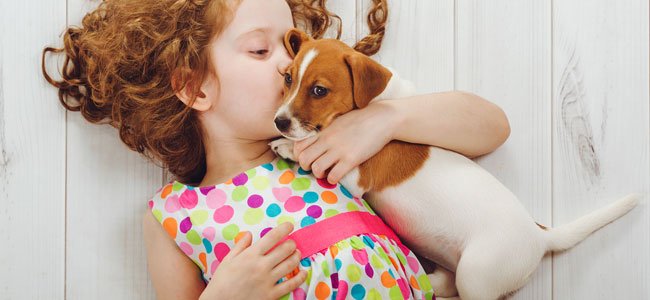 animais de estimação e as crianças