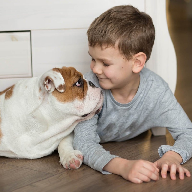 Adivinhas de animais para as crianças. Adivinhações infantis