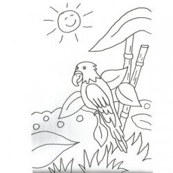 Desenho de um papagaio para colorir