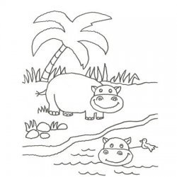 Desenho de hipopótamos para colorir