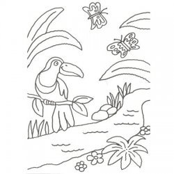 Desenho de um tucano e borboletas para pintar