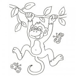 Desenho de macaco animado para colorir