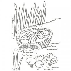 Desenho de Moisés para colorir com as crianças
