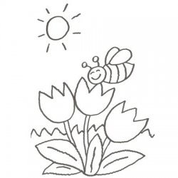 Desenho de tulipas para pintar com as crianças