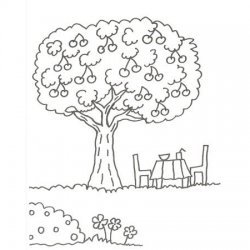 Desenho de uma árvore com cerejas para pintar