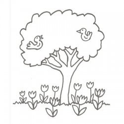 Desenho de árvore com pássaros para colorir