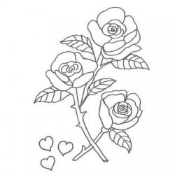 Desenho de rosas para colorir com as crianças