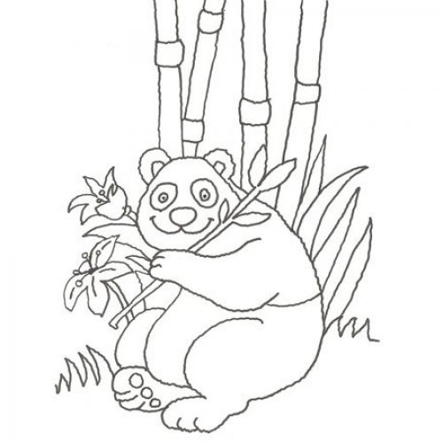 Urso Panda Desenho