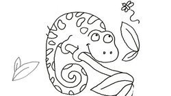 Desenho de cobra animal para colorir para crianças