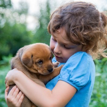 A relação das crianças com os animais de estimação