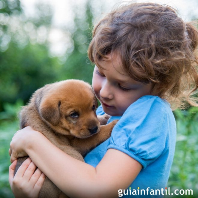 A relação das crianças com os animais de estimação