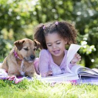 Um animal de estimação não deve ser um brinquedo para as crianças