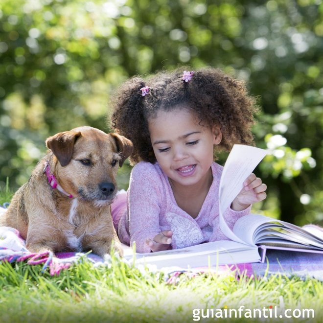 Um animal de estimação não deve ser um brinquedo para as crianças