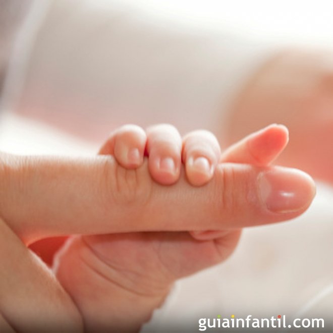 Menino ou menina? Já se pode saber no segundo mês de gravidez