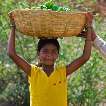 Os riscos e abusos do trabalho infantil