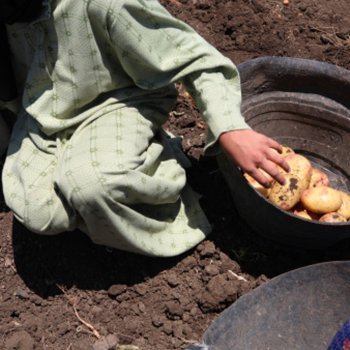 Crianças trabalhando: isso tem que acabar!