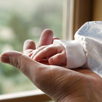 Avôs cangurus: uma nova geração