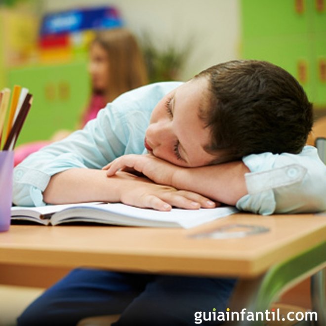 A volta às aulas sem dramas nem preguiças