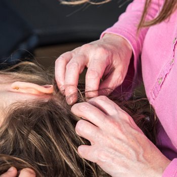 Piolhos resistentes aos tratamentos convencionais