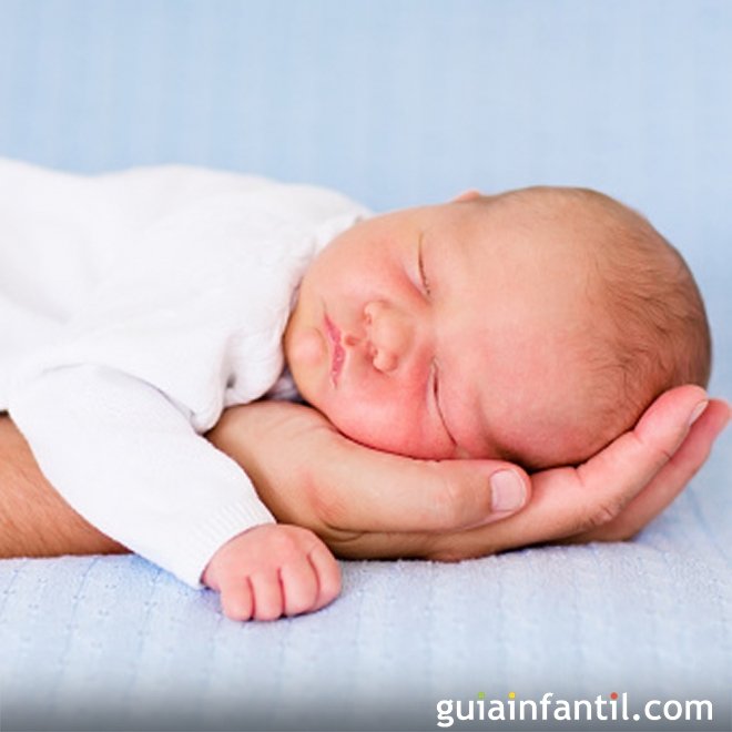 Como se pega a um bebê recém-nascido