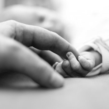 A Microcefalia no Brasil