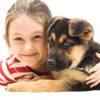 Animais de estimação, os melhores amigos das crianças