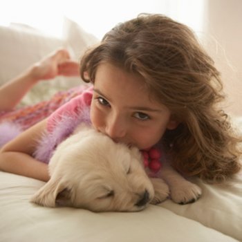 Melhor cachorros do que gatos para a pele das crianças