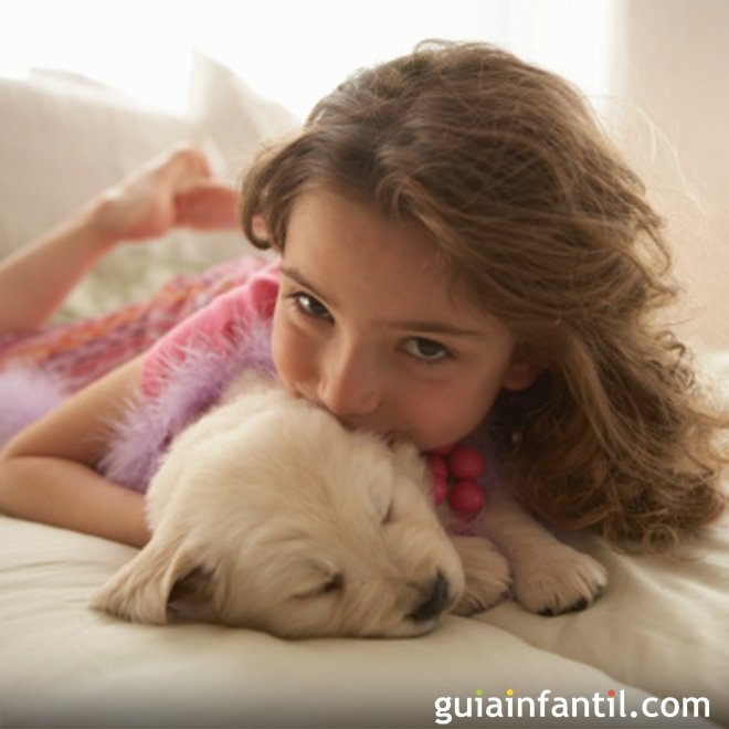 Melhor cachorros do que gatos para a pele das crianças
