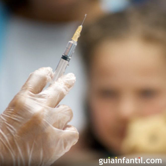 Vacina contra o zika vírus para evitar a sua propagação