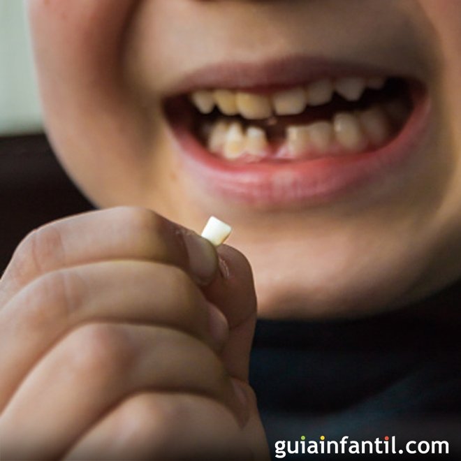 O poder dos dentes de leite para salvar uma vida