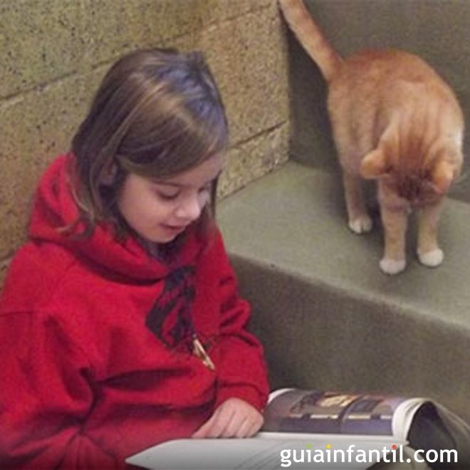 Por que é bom que as crianças leiam para os animais