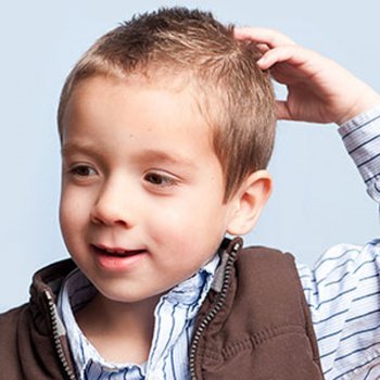 Por que os piolhos parecem não morrer nunca