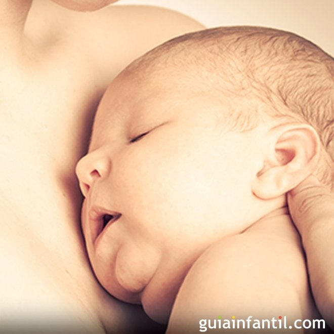 O bebê reconhece o cheiro de sua mamãe