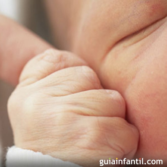 Os cientistas asseguram que o homem não necessitará da mulher para ter um bebê
