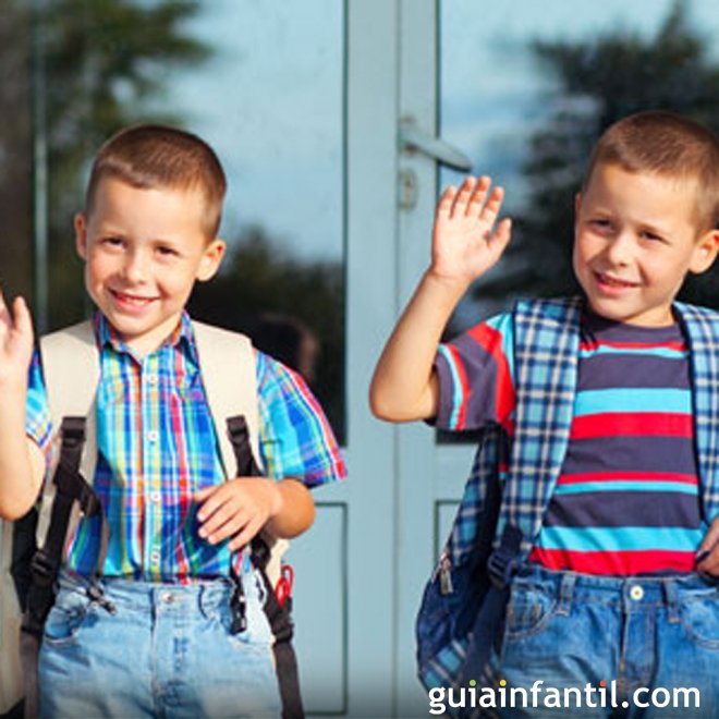 Por que não separar gêmeos na escola