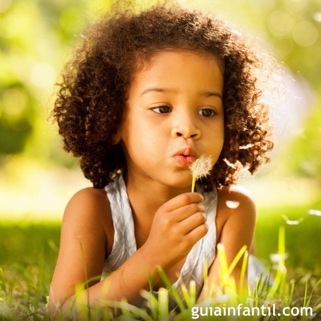 Educar a criança com valores. O amor à Natureza