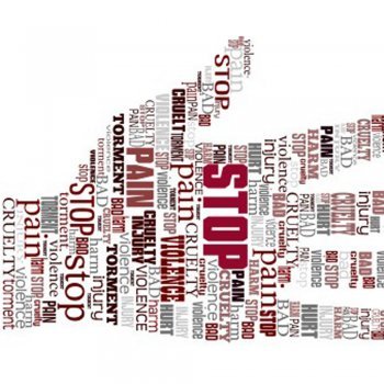 A Lei da palmada entra em vigor no Brasil