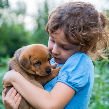 Quais os benefícios para as crianças em ter um animal de estimação