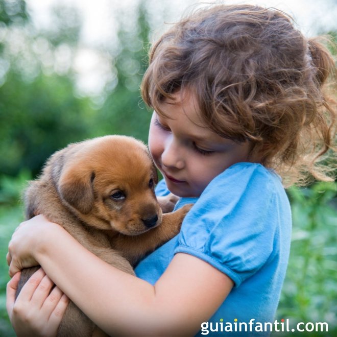 Quais os benefícios para as crianças em ter um animal de estimação