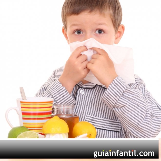 Alimentos que curam: Doenças respiratórias