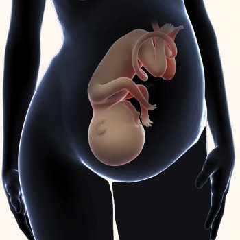 10 coisas que o bebê faz dentro do útero materno