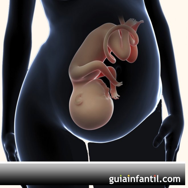 10 coisas que o bebê faz dentro do útero materno