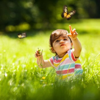 Sonhar com insetos. Interpretação dos sonhos das crianças