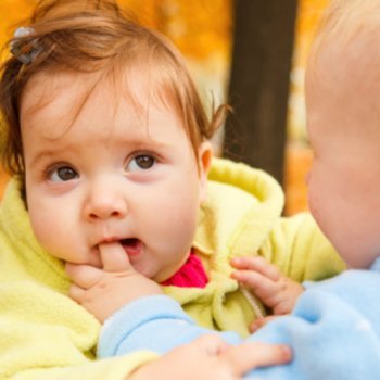 Morder na creche. As mordidas dos bebês e crianças