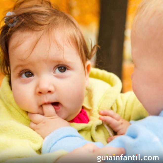 Morder na creche. As mordidas dos bebês e crianças