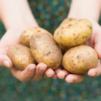 Batata quente. Brincadeiras de criança