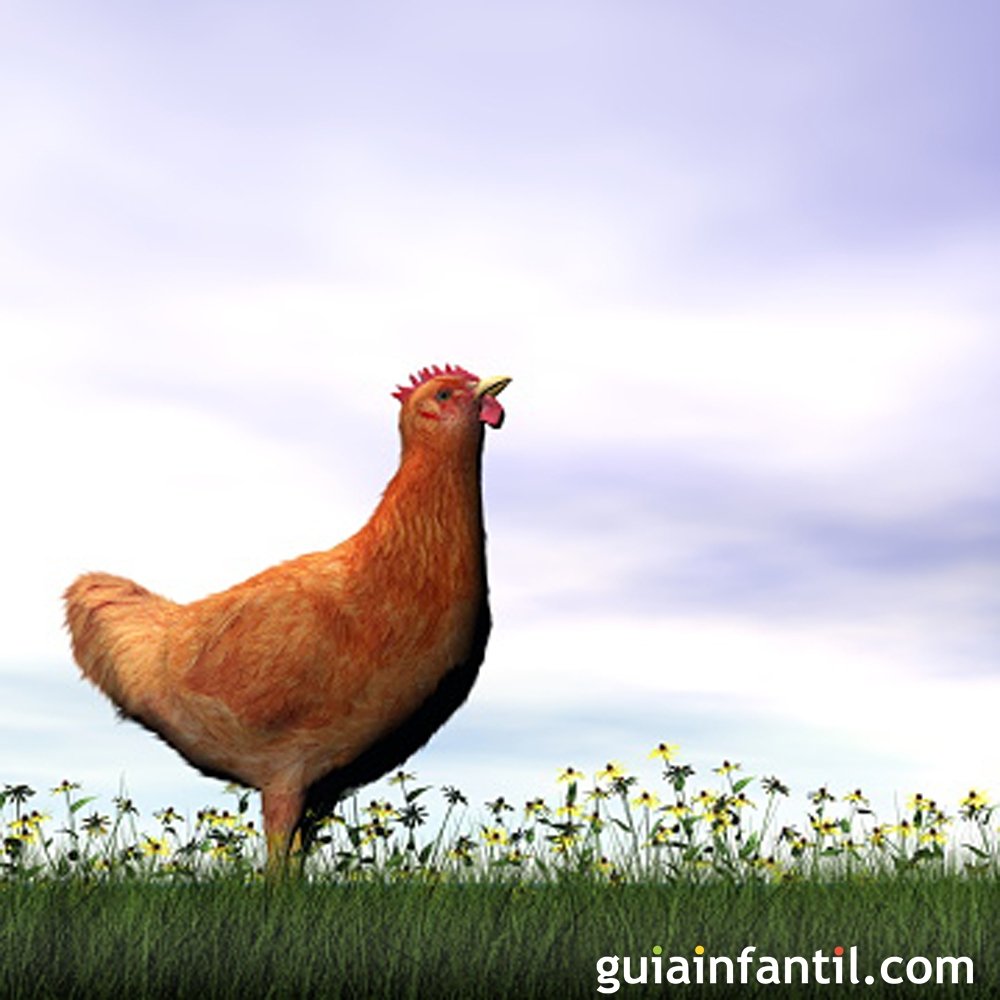 Linguagem 9: A galinha Ruiva