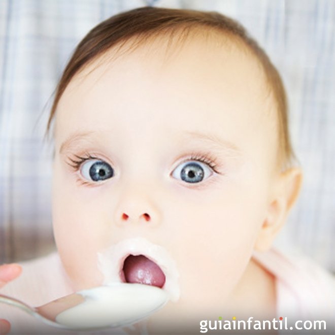 Os probióticos na alimentação infantil